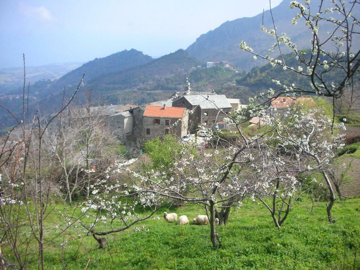 Appartamento Sole e Ventu 30qm San-Giovanni-di-Moriani Esterno foto