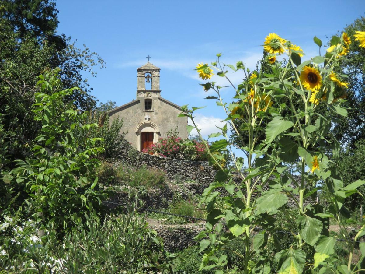Appartamento Sole e Ventu 30qm San-Giovanni-di-Moriani Esterno foto