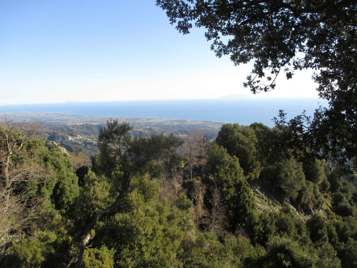 Appartamento Sole e Ventu 30qm San-Giovanni-di-Moriani Esterno foto